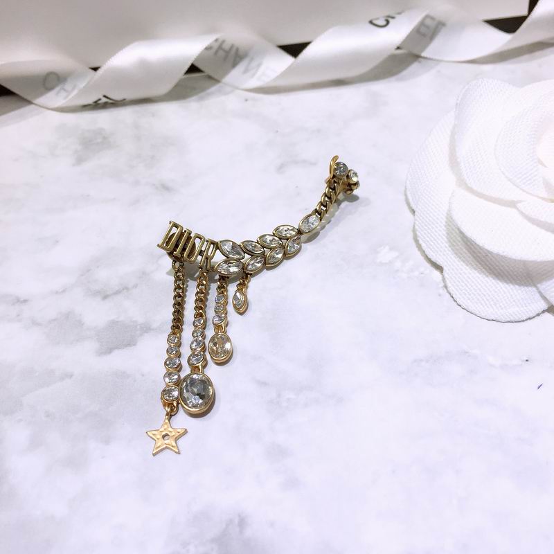 Dior Earring 04lyr338